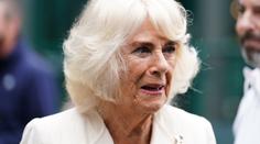 Buckinghamský palác promluvil. Prozradil informace o zdraví Camilly