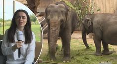 Zoo Ostrava: Exotika i domácí zvířata, maminky si pochvalují vstřícnost