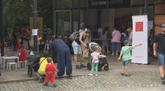 Den pěstounů v pražské zoo. Město připravilo speciální akci