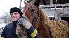 OBRAZEM: Vyděšeného koně zachraňovali hasiči 5 hodin