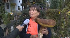 Zdenka našla obří hřib, vážil kilo a půl! Podle mykologů rostou všude
