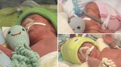 V Ostravě se narodila trojčata. Maminka až do porodu okopávala zahradu