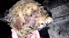 Mladík vlezl do hrobu a natočil si video s mrtvolou. Už ho má policie