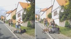Martin bránil rodinu před psem střelbou. Legální, rozhodla policie
