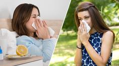 Alergiky čekají tři týdny pekla, varují experti! Začaly kvést trávy