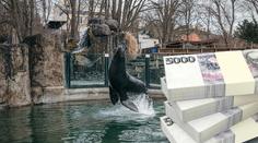 Pražské zoo odkázala miliony i nemovitosti. Kdo byla tajemná dárkyně?