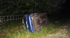 Kvůli dvěma psům se na dálnici zranil motorkář a převrátilo auto