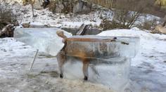 Myslivec z ledu vyřízl zmrzlou lišku! Drsné FOTO hitem internetu