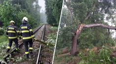Zlámané stromy, zatopené sklepy, zrušené koncerty. V Česku udeřily silné bouřky