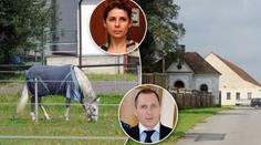 Nejstřeženější koně Česka patří Pancové a Kottovi! Péči o ně platí stát! Kolik to stojí?