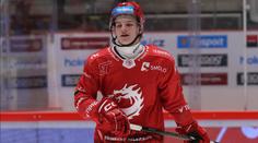 Hokejový Suárez. Třinecký útočník kousl kapitána Varů do prstu, zápas nedohrál