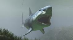 Obří žralok Megalodon: 30metrové monstrum žije v oceánu, tvrdí lidé