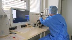 Vědci z Brna učinili průlom v medicíně. Mrtvice se může léčit efektivněji