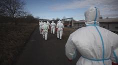 Vybíjení drůbeže končí. Hasiči likvidují poslední dva nakažené chovy