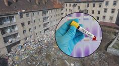 Ústí bojuje s epidemií žloutenky! Mezi odpadky a výkaly si hrají děti