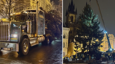 Na Staroměstském náměstí se už tyčí vánoční strom. Převoz provázely komplikace
