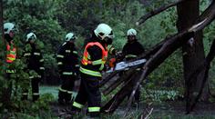 Čechy v noci bičovaly bouřky, na jihu Čech narazil vlak do stromu