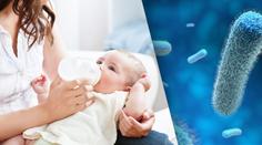 Salmonela ve zlínské nemocnici: Hygienici ví, kolik lidí se nakazilo!