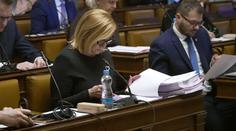Vládní strany slibovaly snížení dluhu. Místo toho má dál růst
