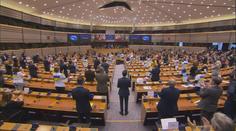 Jednání v Bruselu ovlivňuje situace na Ukrajině. Zabývaly se jí výbory i rady