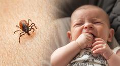 Repelent nebo očkování? Pediatr radí, jak ochránit děti před klíšťaty