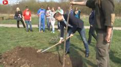 Výsadba nových lesů v Praze v roce 2013 zahájena