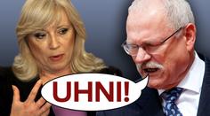 PREZIDENT HULVÁT! Gašparovič UDEŘIL LOKTEM Radičovou!