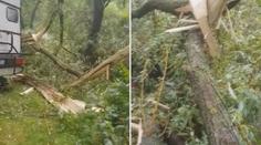 Na stany padají větve a stromy! Kemp přesto dál přijímá návštěvníky