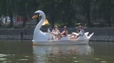 Vltava je přeplněná šlapadly! Opilí turisté na nich ohrožují větší lodě