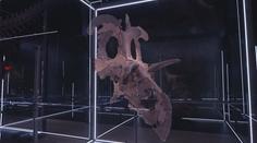 Významný milník pro paleontologii. Vědci našli lebku nového dinosaura
