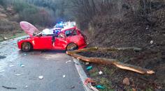 Silný vítr si v Česku vyžádal první oběť, strom spadl na projíždějící auto