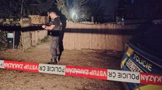 Policie ve Zvoli zastřelila lva. Měl napadnout ošetřovatele
