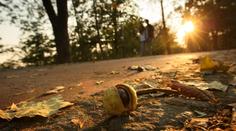 PŘEDPOVĚĎ POČASÍ: Slunce i déšť, mlhy a teploty až 17 °C!