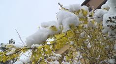 Meteorologové varují před novým sněhem, oteplí se až příští týden