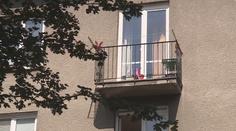 "Křičela jednu adresu!" Žena promluvila o vraždě holčičky (3)