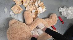 Muž našel v plyšákovi přes milion korun. Bříško měl medvídek plné peněz