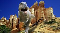 Dinosauři trpěli respiračními nemocemi, měli rýmu a kašlali, tvrdí vědci