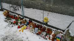 Policie: Čtyřletou holčičku z České Lípy zavraždila matka!