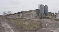 Na Pardubicku je další ohnisko ptačí chřipky. Opět se jedná o velký chov