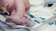Zraněné dítě z plzeňského babyboxu zemřelo v nemocnici!