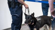 Pavoučí pohroma na letišti. Nemohli jsme tomu uvěřit, řekl celník po otevření kufru