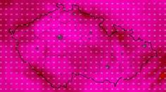 Meteorologická mapa Česka se zbarvila do fialova. Pátek bude kritický