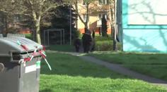 Matka novorozence je obviněná z vraždy, hrozí jí i výjimečný trest