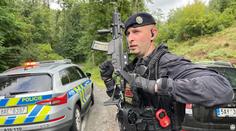 U Prahy hledali běhajícího medvěda. Video bylo falešné, zjistila policie
