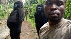 Gorily zapózovaly muži pro selfie! Snímek pak obletěl celý svět