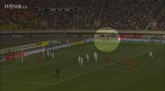 Psí teror v Česku! Smečka útočí na zvířata i lidi, kdo to zastaví?