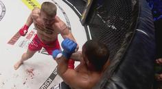 KSW 88: Albert Odzimkowski vs. Nemanja Nikolič
