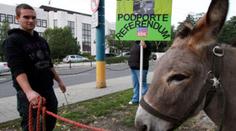 FOTO: Nedělejte z lidí osly, žádají poslance slovenští levičáci