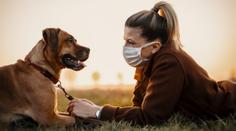 Vědci odhalili nový koronavirus. Lidé se jím zřejmě nakazili od psů