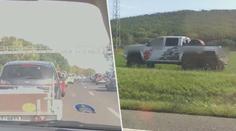 VIDEO: Řidič si poradil s kolonou po svém. S terénním autem ji objel po poli